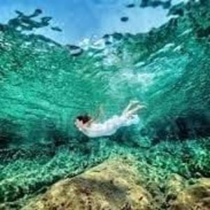 Meet your Posher, Frances